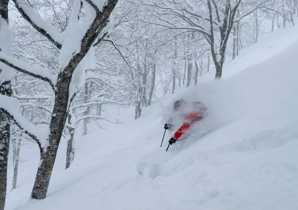 Skiing in powder Japan